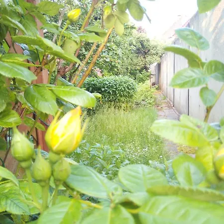 Apartament Wind & Wasser *