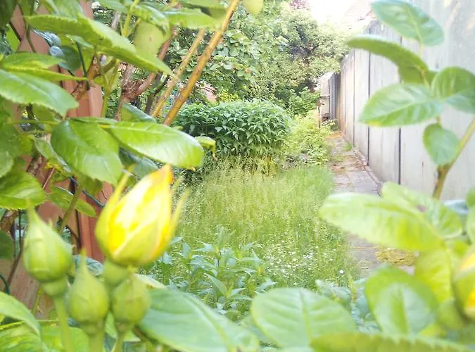 公寓 Wind & Wasser *